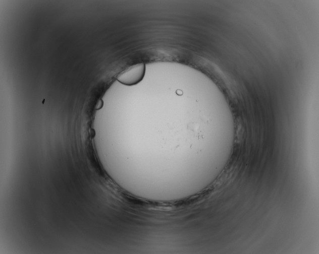 X0000088220318200705151034