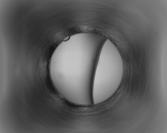 X0000088220319200705151034
