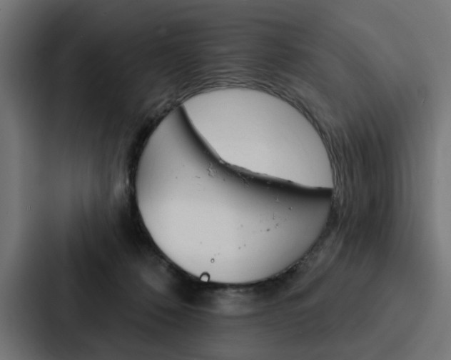 X0000088220320200705151034