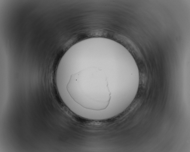 X0000088220326200705151034