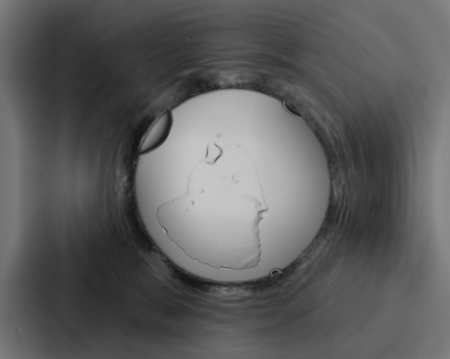 X0000088220327200705151034