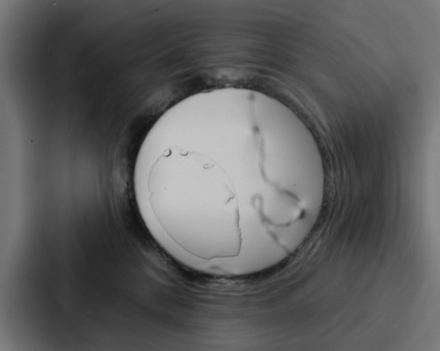 X0000088220328200705151034