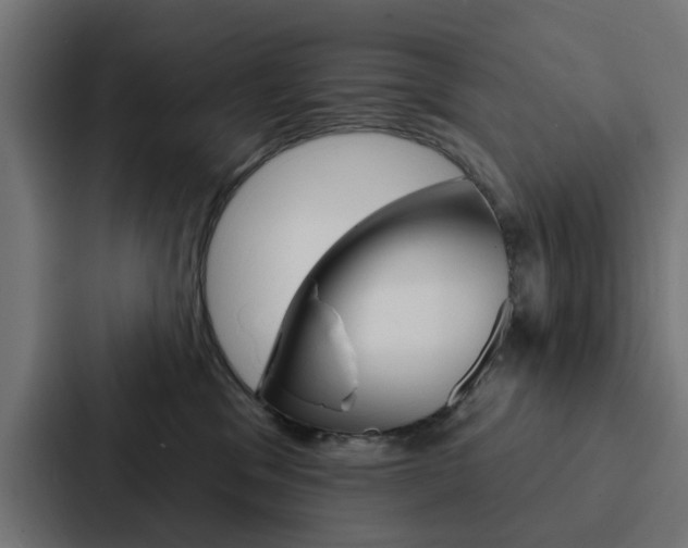 X0000088220329200705151034