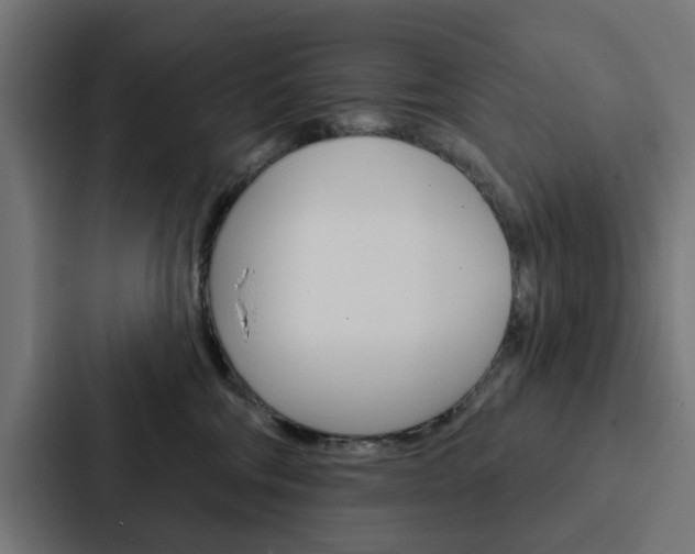X0000088220330200705151034