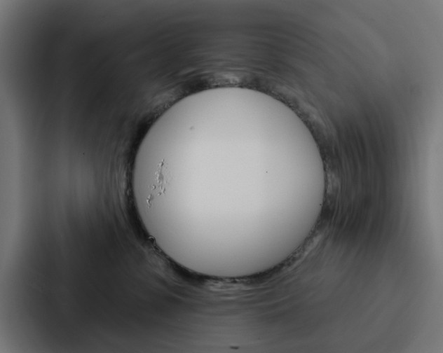 X0000088220331200705151034