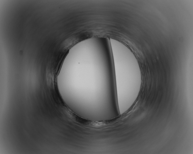 X0000088220333200705151034