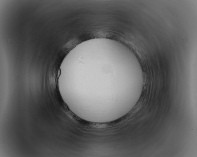 X0000088220334200705151034
