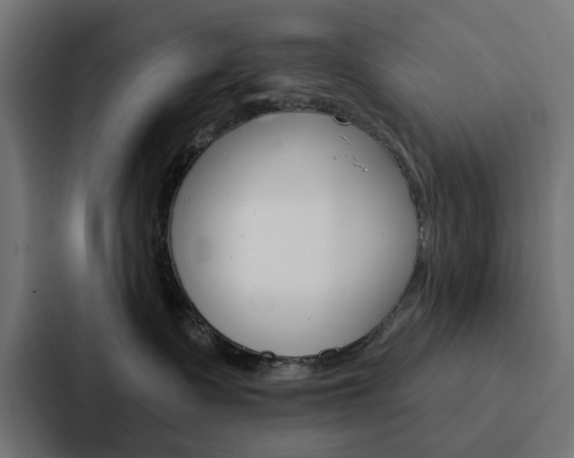 X0000088220335200705151034