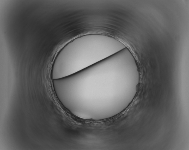 X0000088220337200705151033