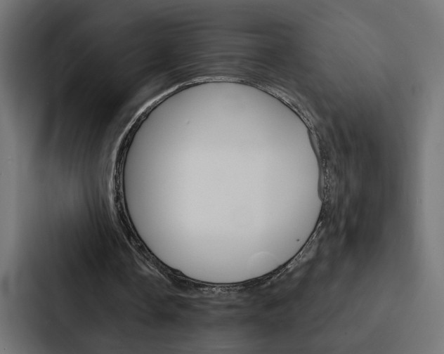 X0000088220338200705151033