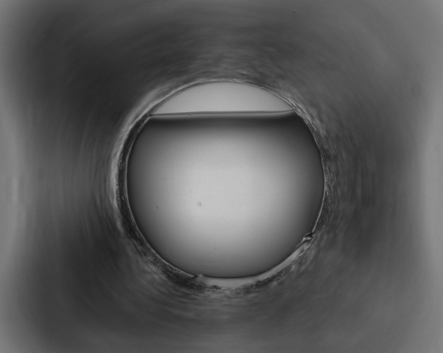 X0000088220340200705151033