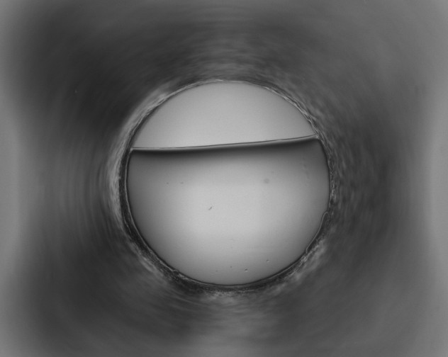 X0000088220341200705151033