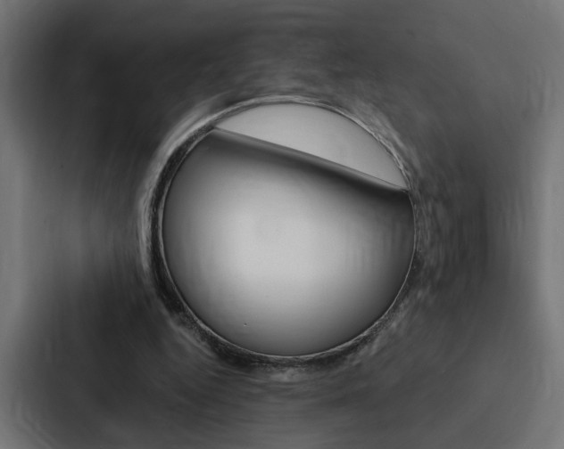 X0000088220344200705151033