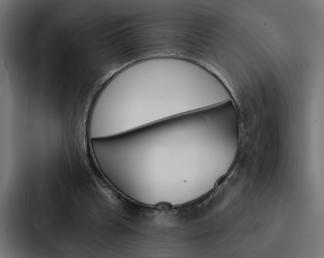 X0000088220345200705151033