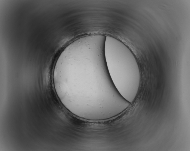 X0000088220347200705151033