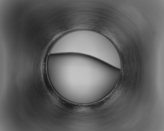 X0000088220348200705151033