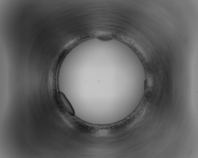 X0000088220352200705151033