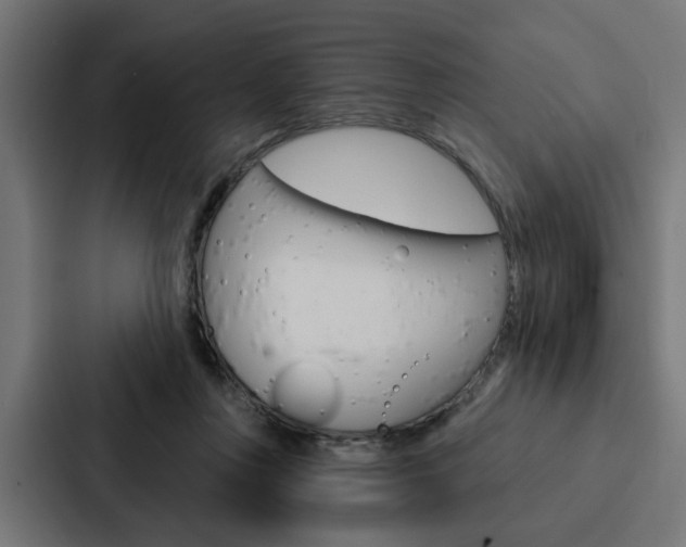 X0000088220359200705151033
