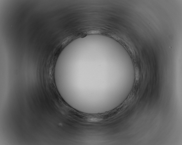 X0000088220360200705151033