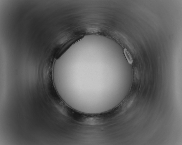 X0000088220364200705151033