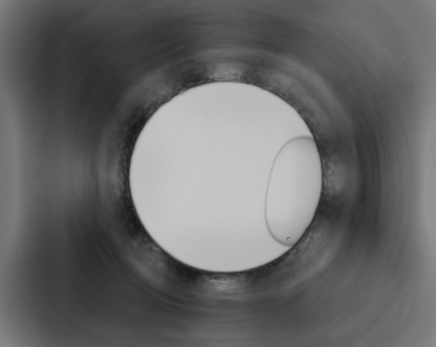 X0000088220370200705151034