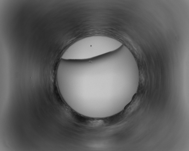 X0000088220374200705151034