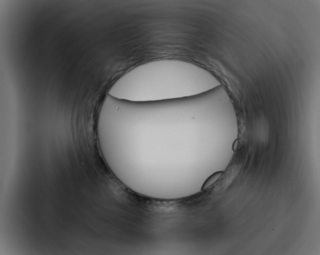 X0000088220377200705151034