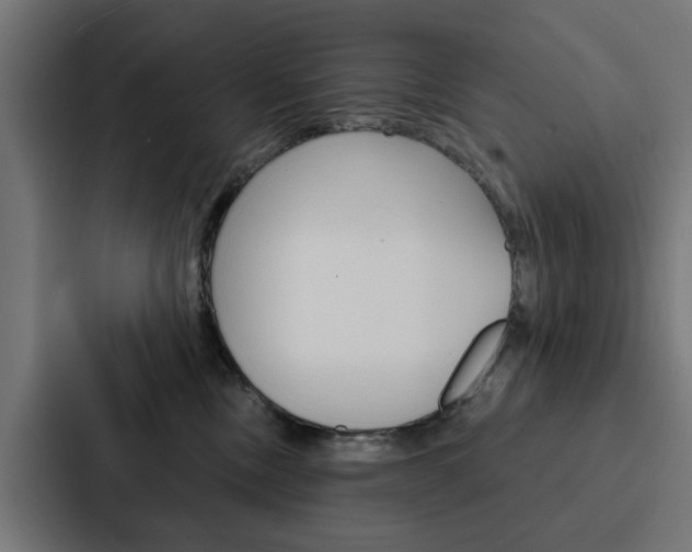 X0000088220378200705151034