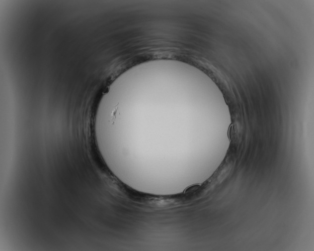 X0000088220379200705151034