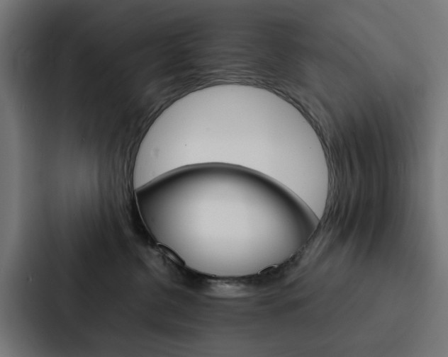 X0000088220380200705151034