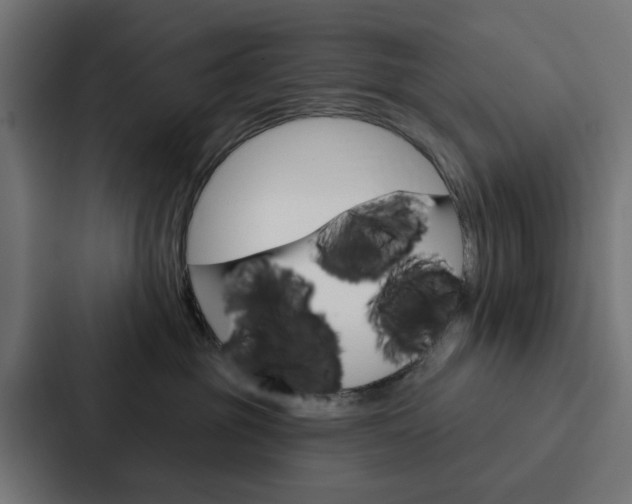 X0000088220381200705151034