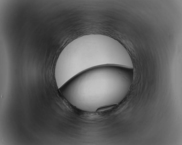 X0000088220384200705151034