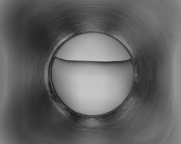 X0000088220390200705151033