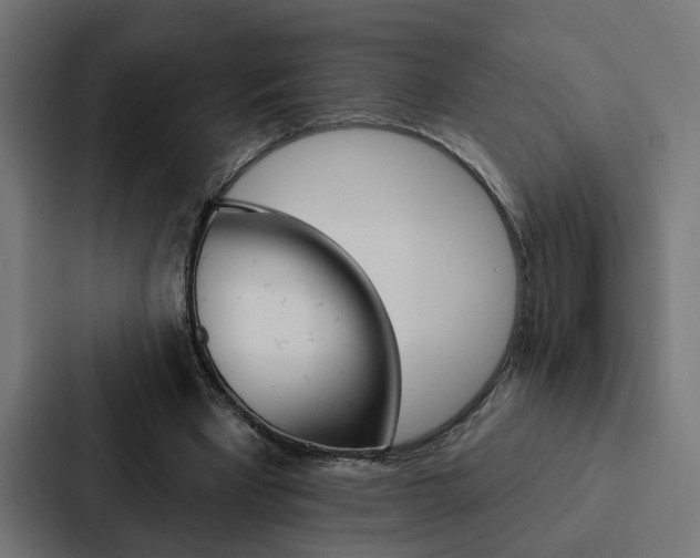 X0000088220393200705151033