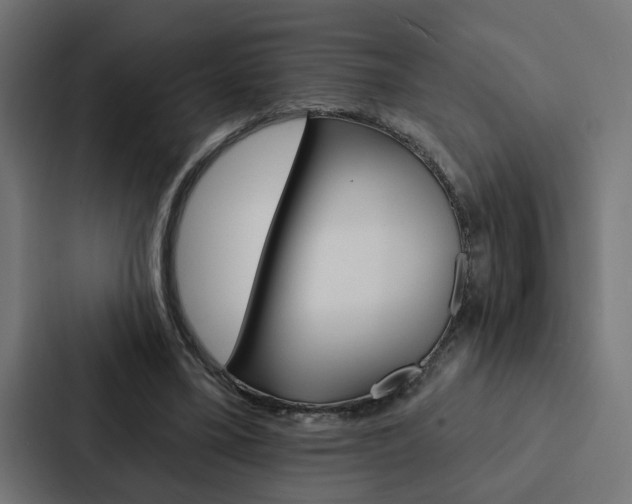 X0000088220395200705151033