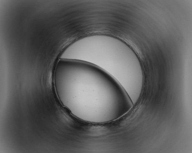 X0000088220397200705151033