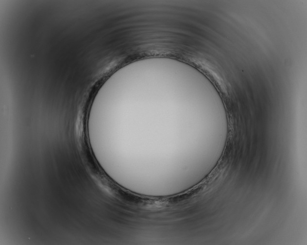 X0000088220398200705151033