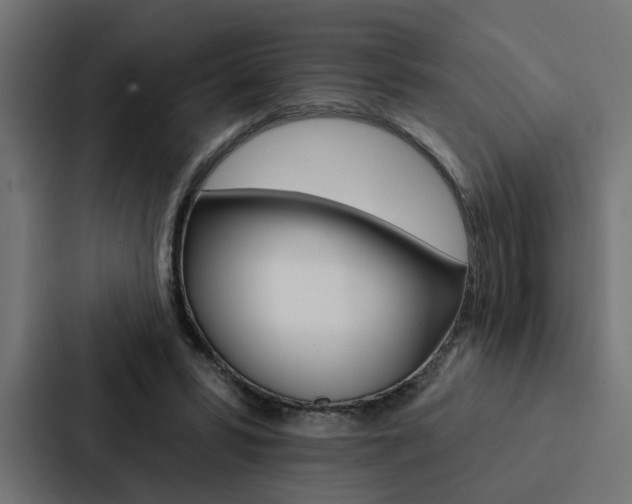 X0000088220399200705151033