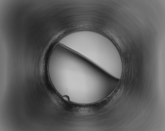 X0000088220400200705151033