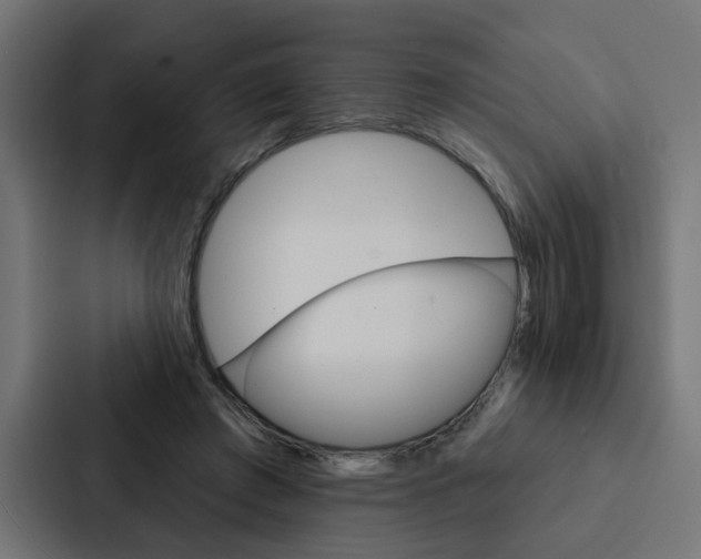 X0000088220401200705151033