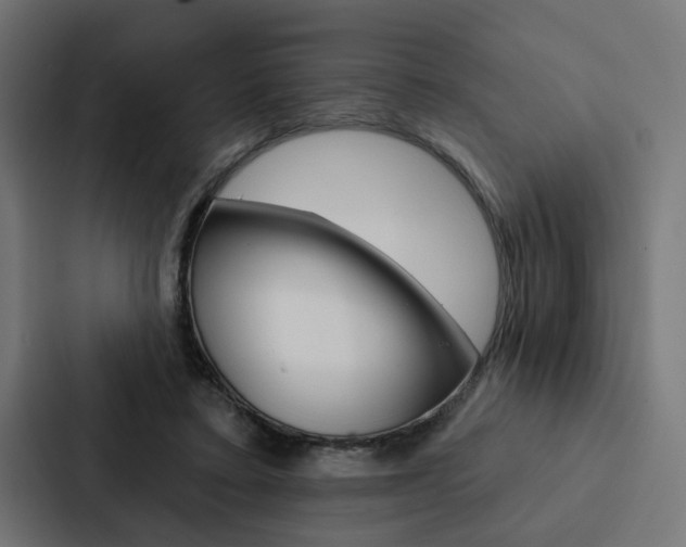 X0000088220403200705151033