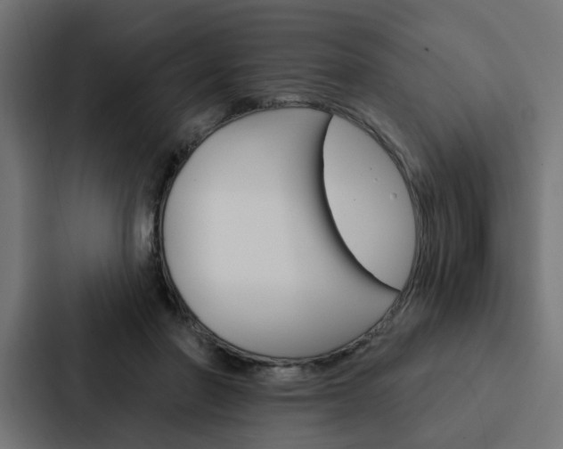 X0000088220406200705151033