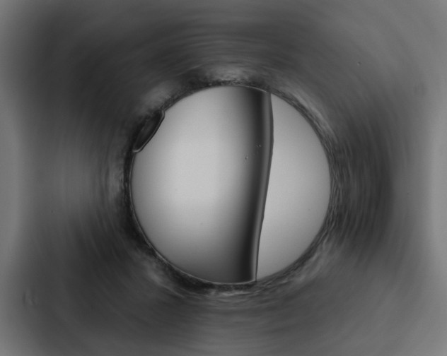 X0000088220407200705151033