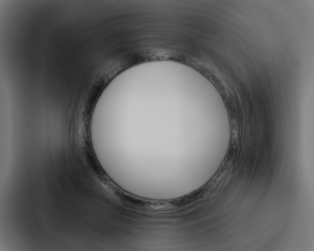 X0000088220410200705151033