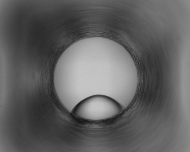 X0000088220412200705151033