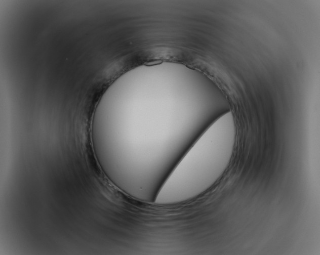 X0000088220413200705151033