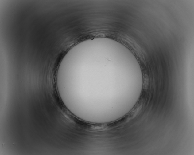 X0000088220414200705151033