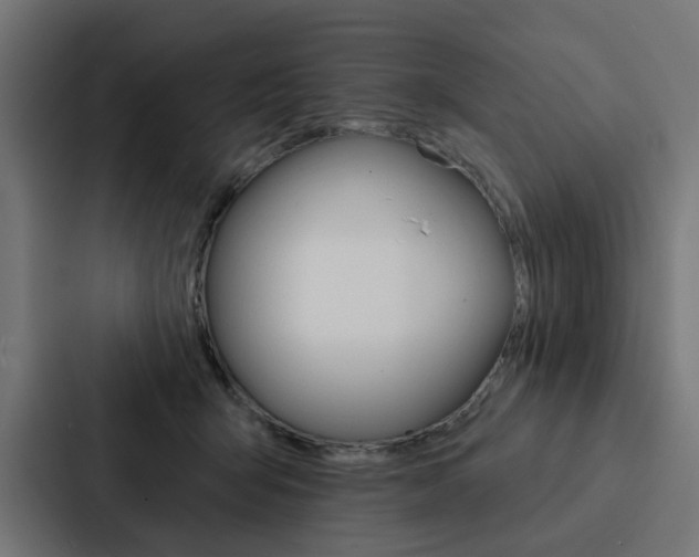 X0000088220415200705151033