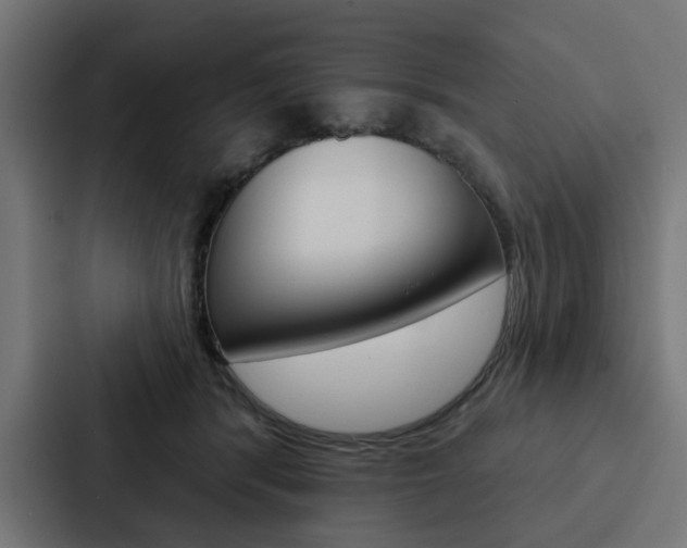 X0000088220416200705151033