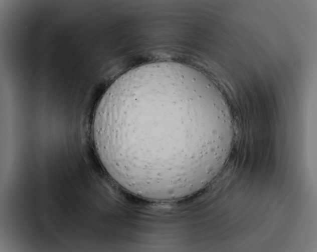 X0000088220418200705151033